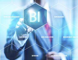 Business Intelligence & Analysis